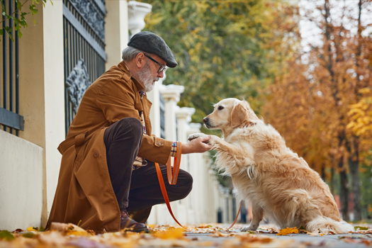 man and his dog