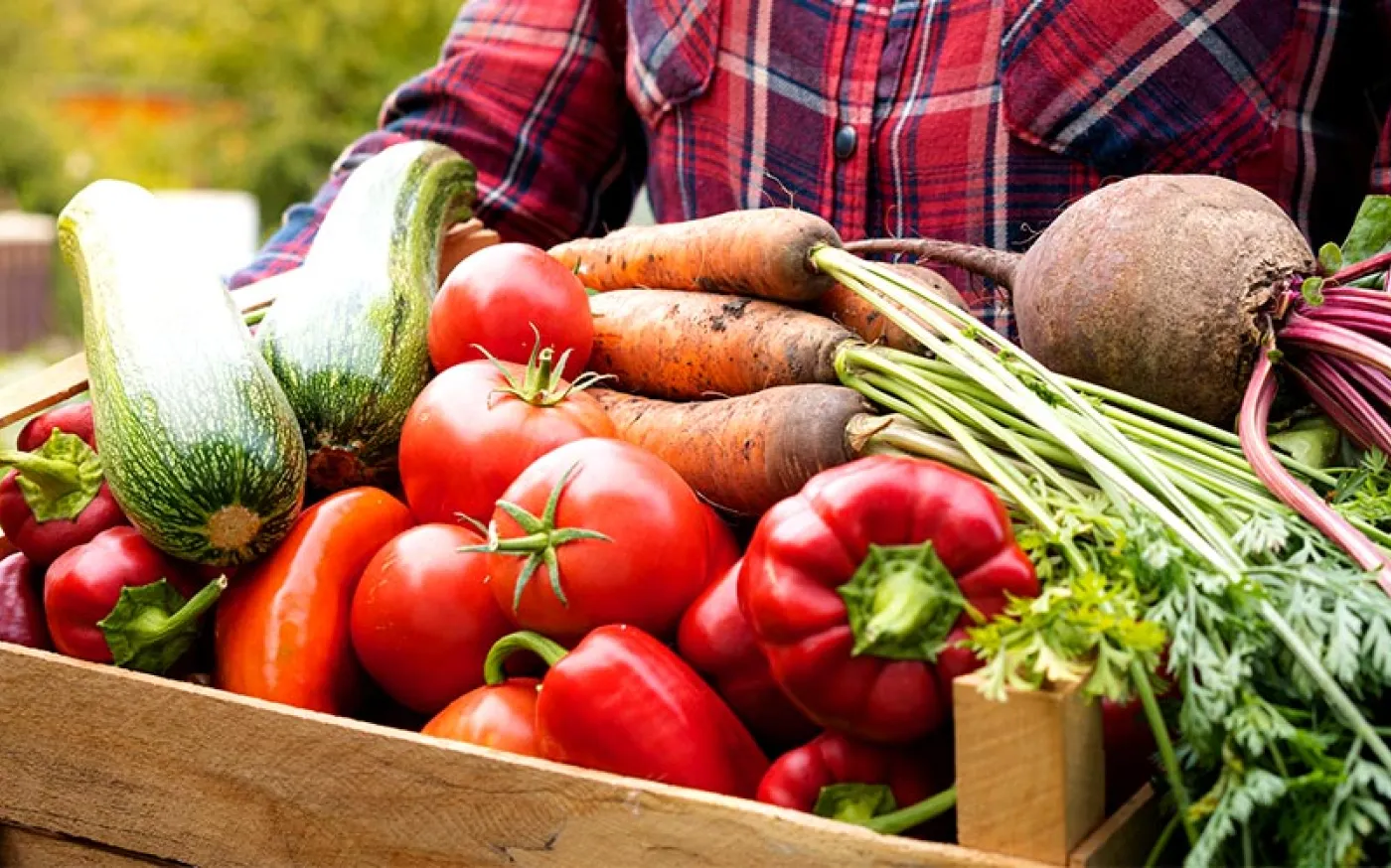 A crate overflowing with a harvest of vegetables.
